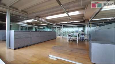 Affitto affitto, Modena