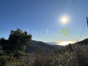 Vendita vendita, Seborga