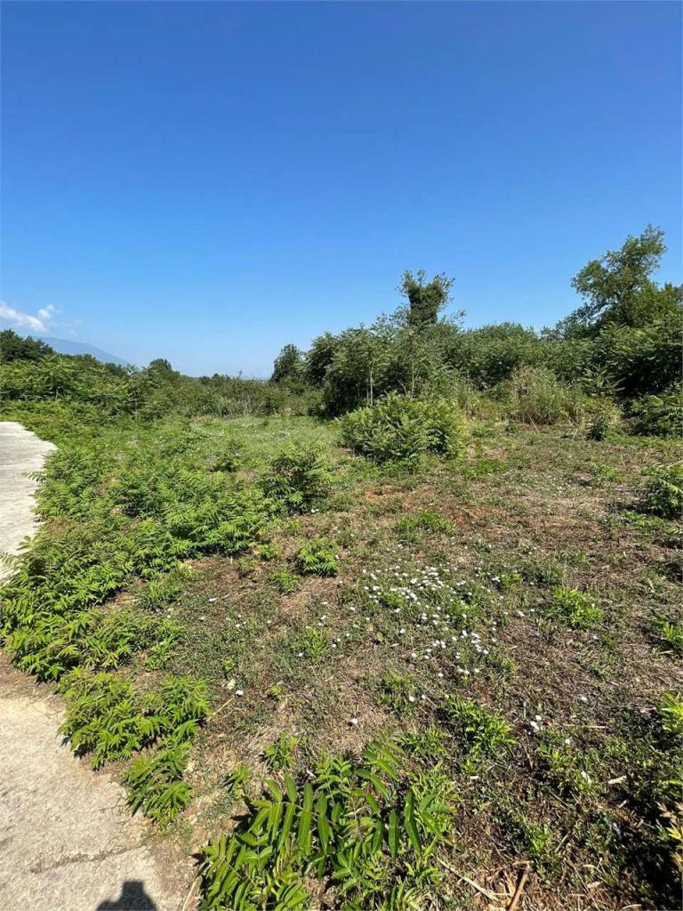 Affitto affitto, Ceccano foto