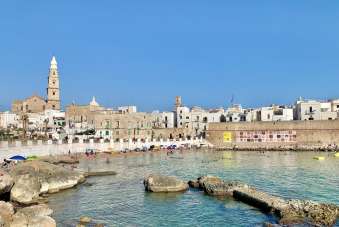 Renta Casas, Monopoli