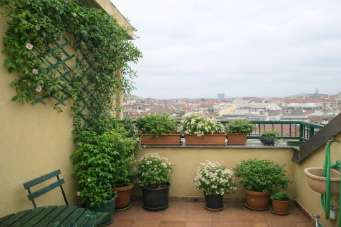 Renta Trivani, Torino