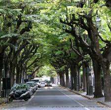 Vendita vendita, Albenga