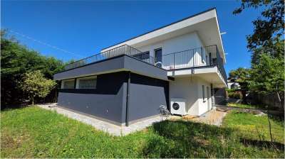 Vendita vendita, Lomazzo