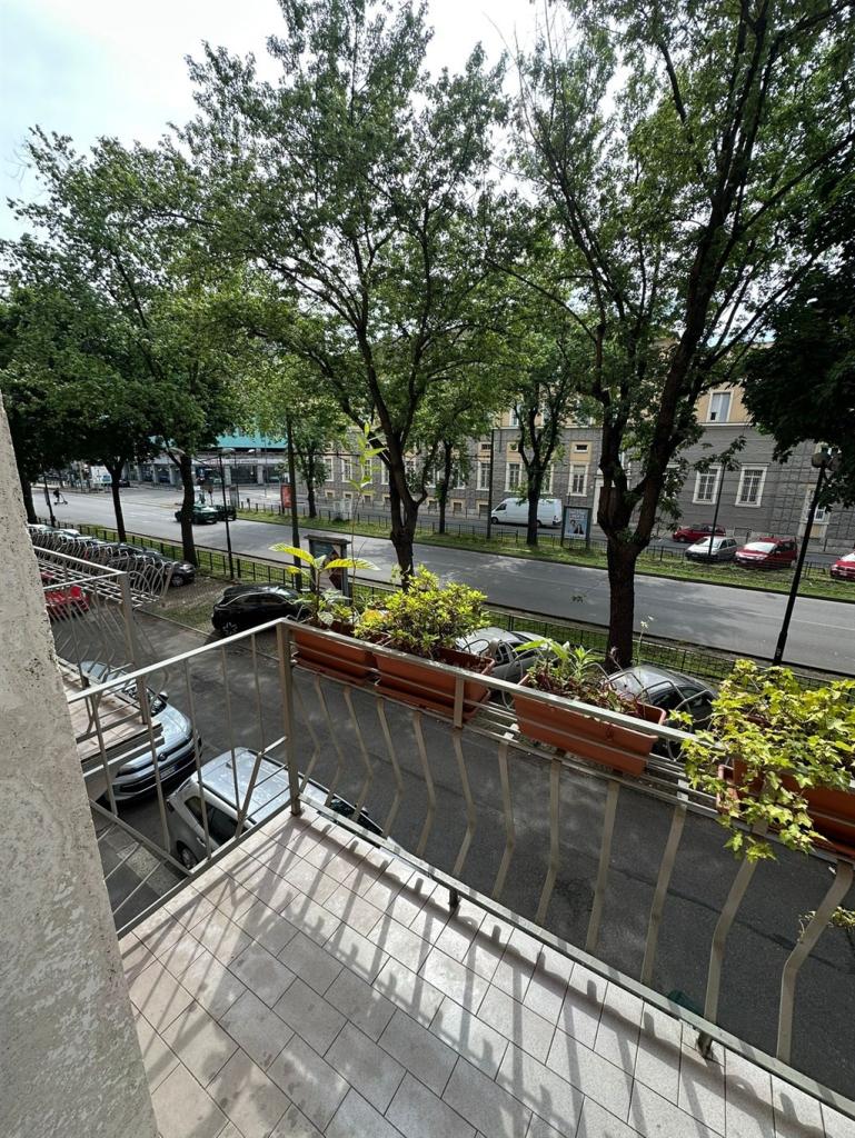 appartamento in affitto a Torino in zona Cit Turin