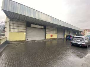 Affitto affitto, Genova