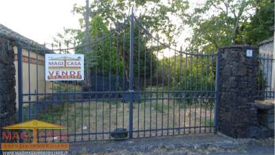 Vendita vendita, Ragalna