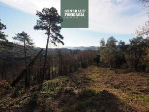 Vendita Terreno Residenziale, Podenzana