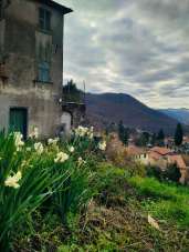 Venta Esavani, Calice al Cornoviglio