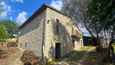 Vendita Multivani, Baschi