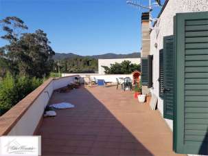 Venta vendita, Campo nell'Elba