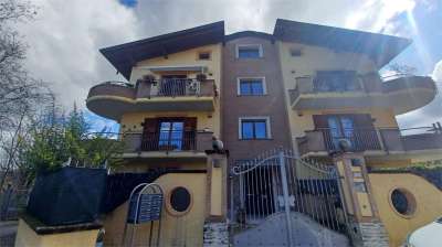 Vendita vendita, Frosinone