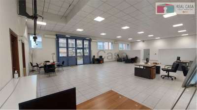 Affitto affitto, Modena