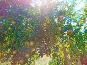 Venta Cuatro habitaciones, Cava de' Tirreni