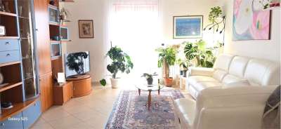 Vendita vendita, Bitonto