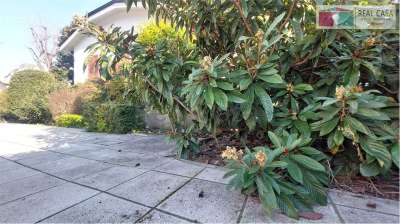 Affitto affitto, Modena