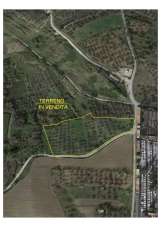 Venta Terreno, Cupello Venta Terreno, Cupello