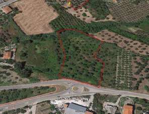 Venta Terreno, Cupello