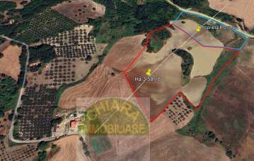 Venta Terreno, Fresagrandinaria