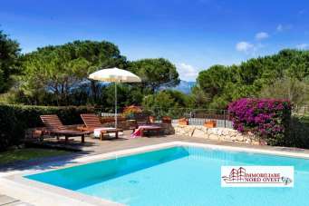 Rent Four rooms, San Teodoro