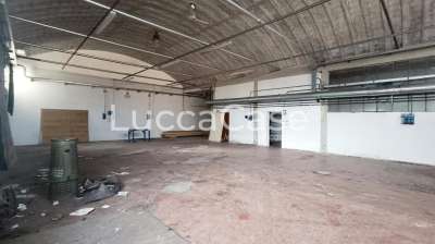 Mieten Capannone, Capannori Mieten Capannone, Capannori