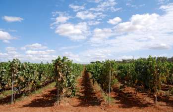 Sale Business premises, Bari Sale Business premises, Bari