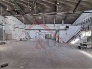 Vendita vendita, Modena