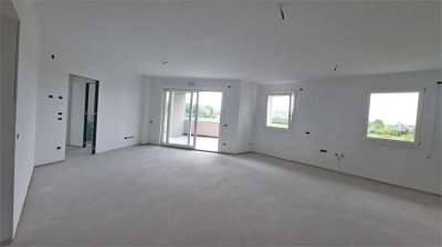 Venta vendita, Noale