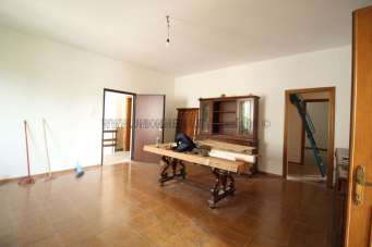 Renta Pentavani, Arcola Renta Pentavani, Arcola