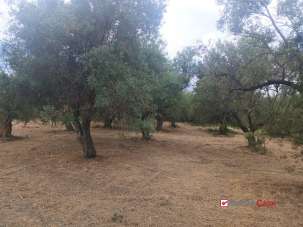 Vendita Loft, mansarde e attici, Caltagirone