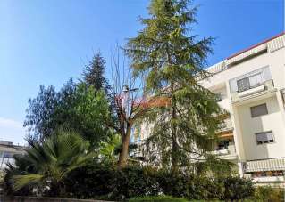 Vendita vendita, Trani