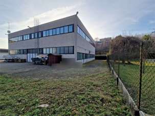 Affitto affitto, Faloppio