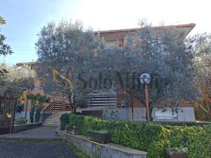 Mieten Zwei zimmer, Frascati