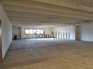 Renta Roomed, Senigallia