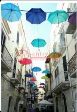 Vendita vendita, Trani