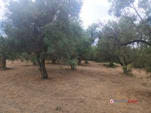 Venta Terreno, Caltagirone Venta Terreno, Caltagirone