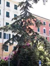 Renta Appartamento, Genova