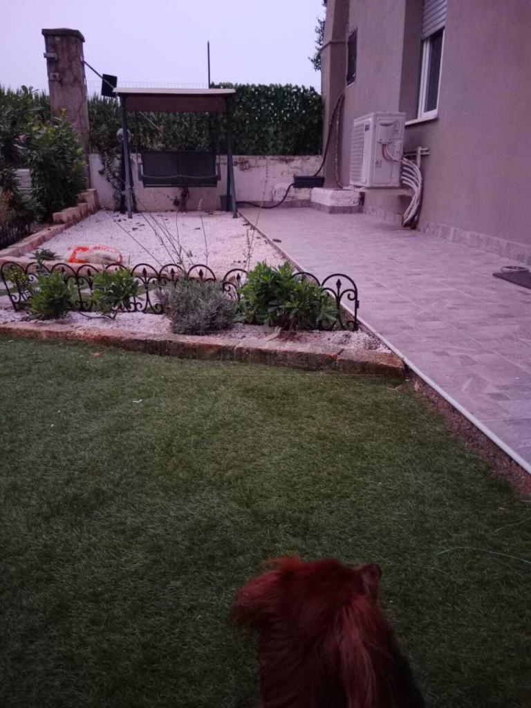 Vendita Esavani, Lonato del Garda foto