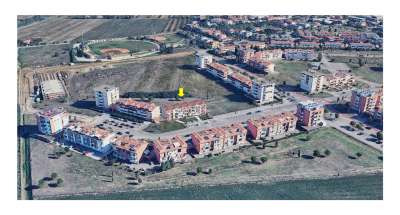 Vendita Esavani, Grosseto