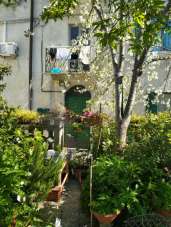 Venta Dos habitaciones, Sarzana