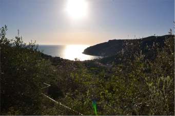 Sale vendita, Noli Sale vendita, Noli