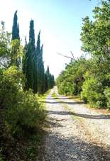 Vendita Case vacanza, Monterotondo Marittimo