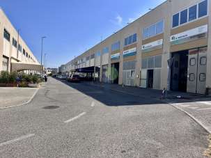 Venta D, Livorno