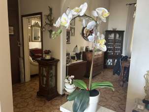 Vendita Ville, Piombino