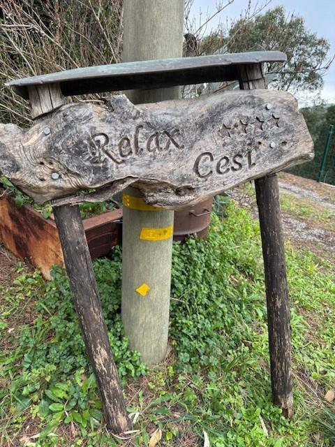 Vendita Garage e posti auto, Gavorrano foto