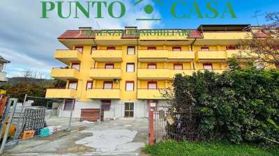 Vendita vendita, Falerna