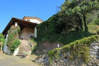 Venta Rustico, Pietrasanta