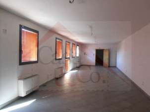 Affitto affitto, Modena