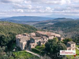 Verkauf Trivani, Monticiano