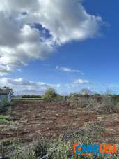 Vendita Loft, mansarde e attici, Palermo Vendita Loft, mansarde e attici, Palermo