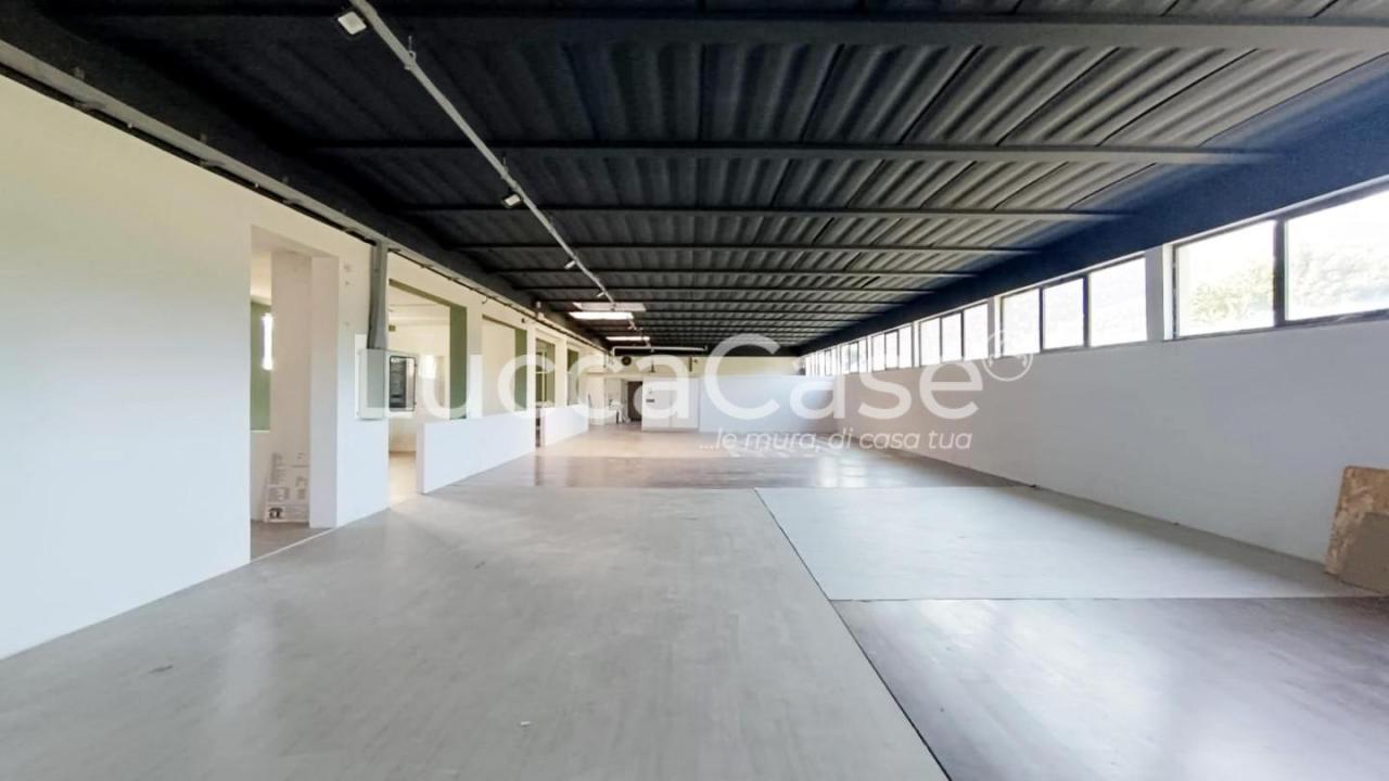 Affitto Capannone, Lucca foto